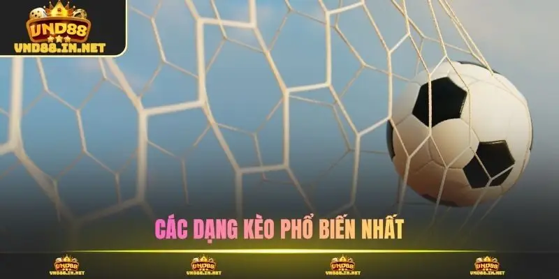 Các dạng kèo phổ biến nhất