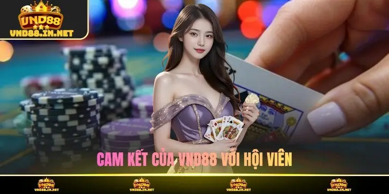 Cam kết của VND88 với hội viên