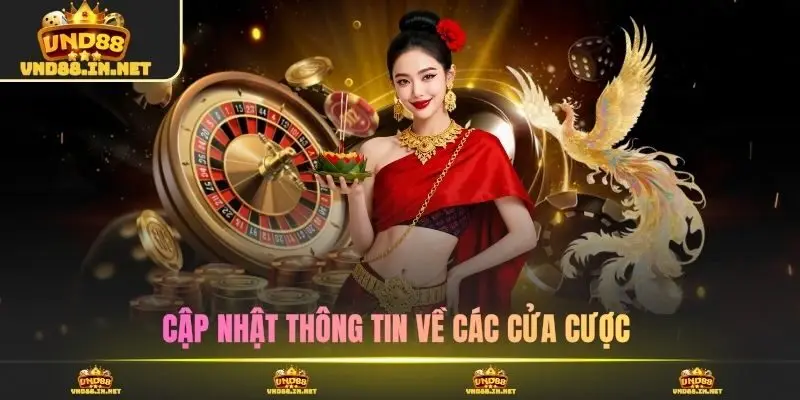 Cập nhật thông tin về các cửa cược 