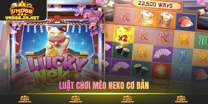 Luật chơi mèo neko cơ bản