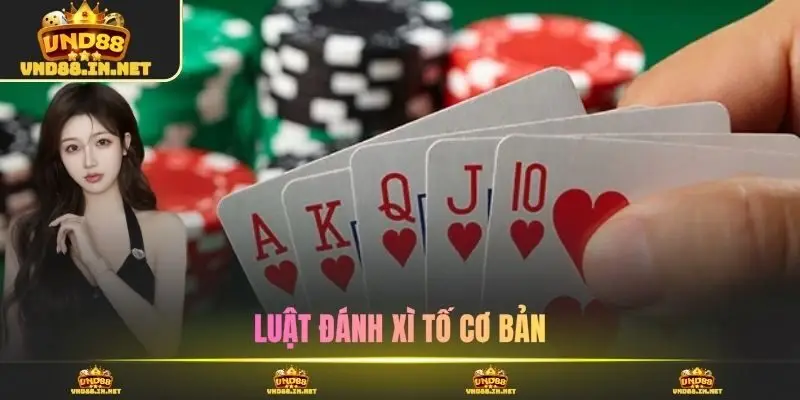 Luật đánh xì tố cơ bản