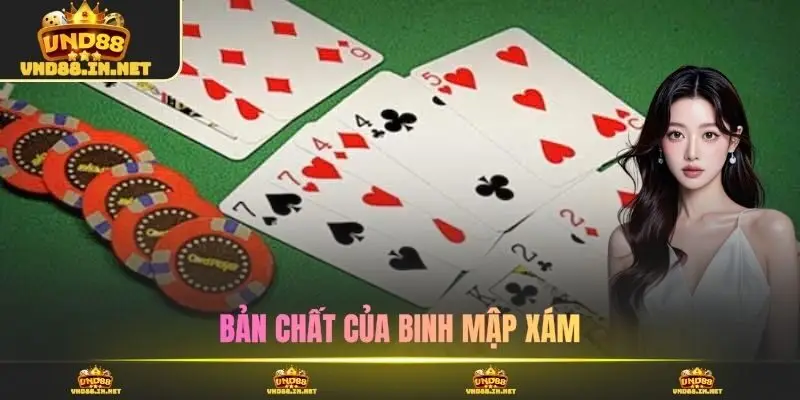 Bản chất của binh mập xám