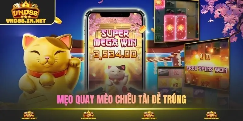 Mẹo quay mèo chiêu tài dễ trúng
