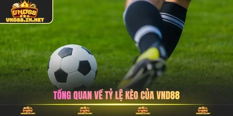 Tổng quan về tỷ lệ kèo của VND88